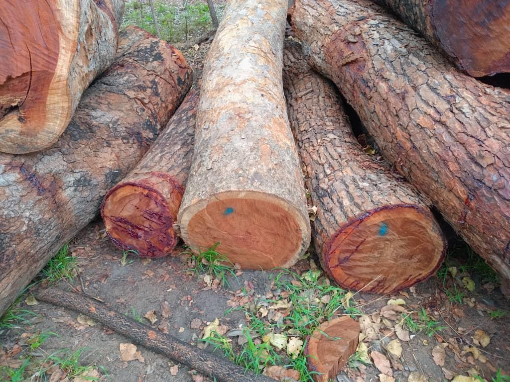 Balancing Commerce with Conservation