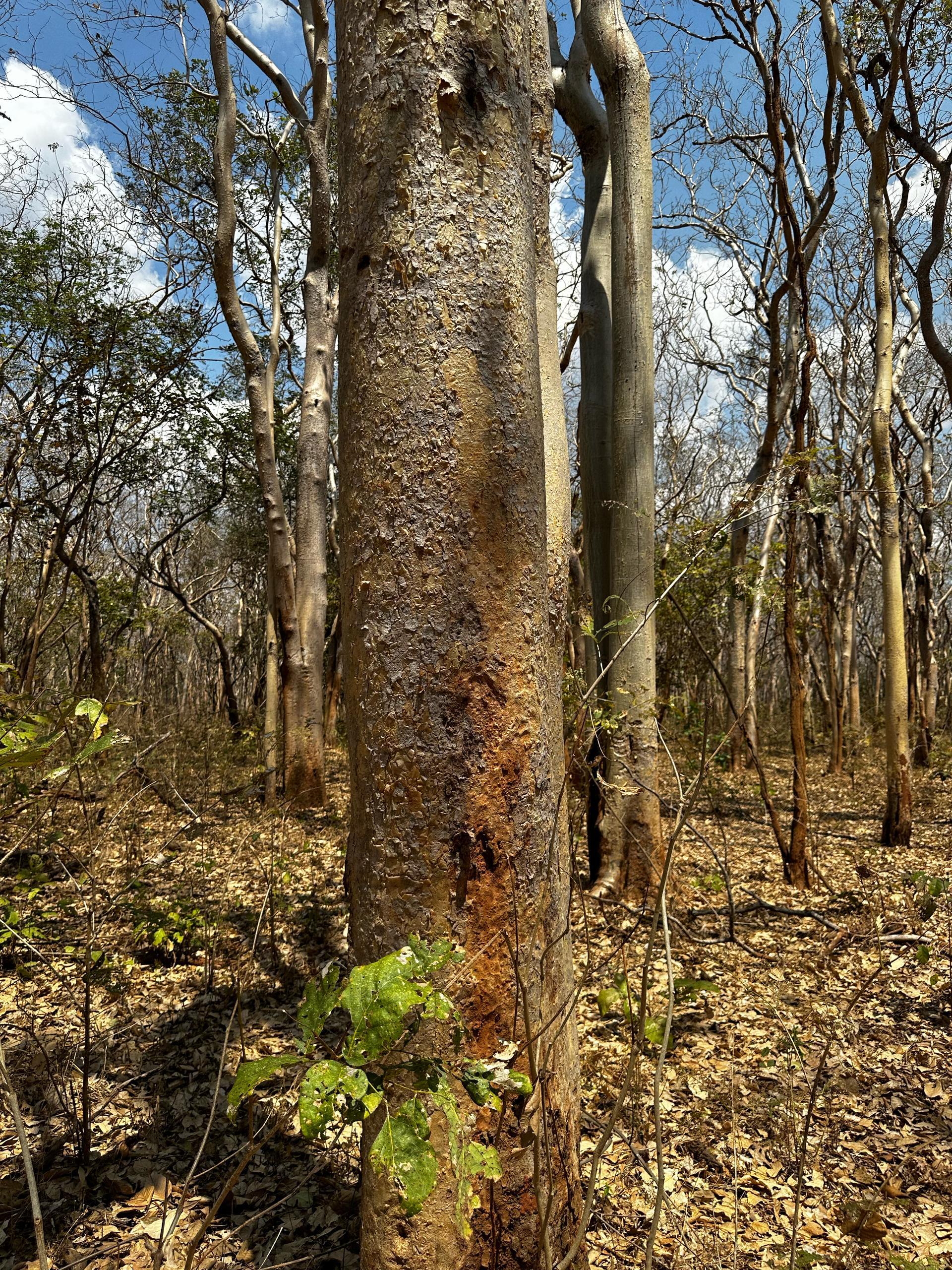 Balancing Commerce with Conservation